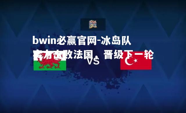 冰岛队实力击败法国，晋级下一轮