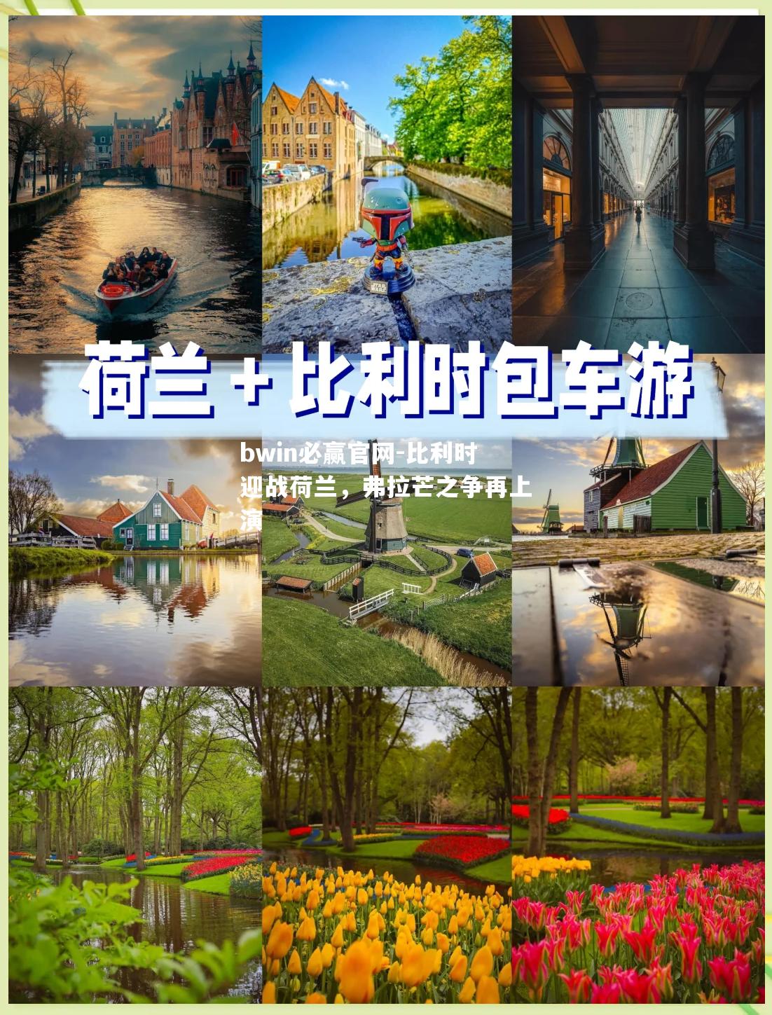 比利时迎战荷兰，弗拉芒之争再上演