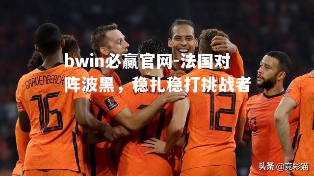 法国对阵波黑，稳扎稳打挑战者
