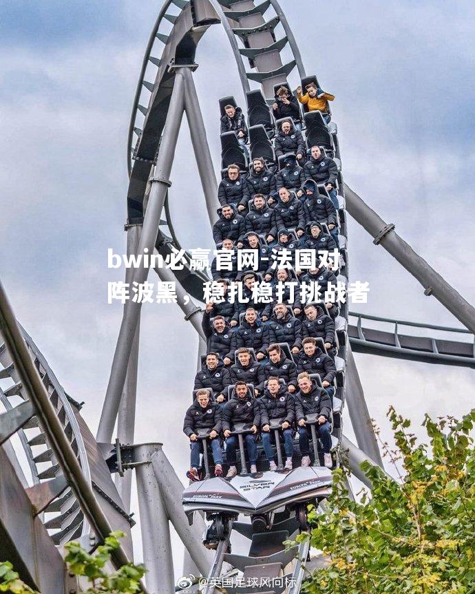 法国对阵波黑，稳扎稳打挑战者