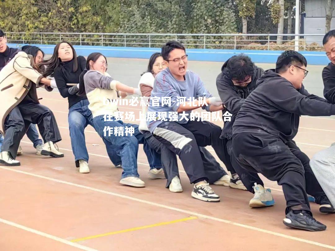 河北队在赛场上展现强大的团队合作精神