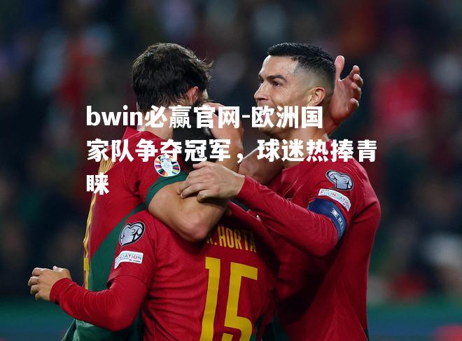 欧洲国家队争夺冠军，球迷热捧青睐